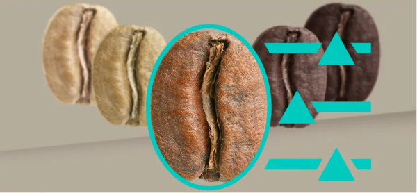 TQ905R03 Tam Otomatik Kahve Makinesi EQ900 Paslanmaz çelik